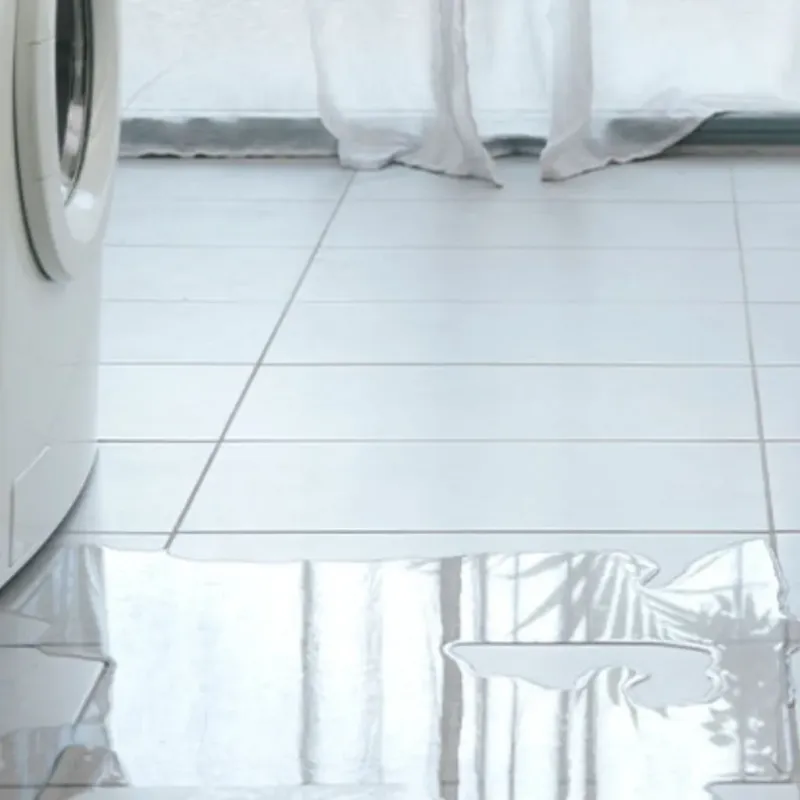Appliance Leak Cleanup in Hardin County, IL