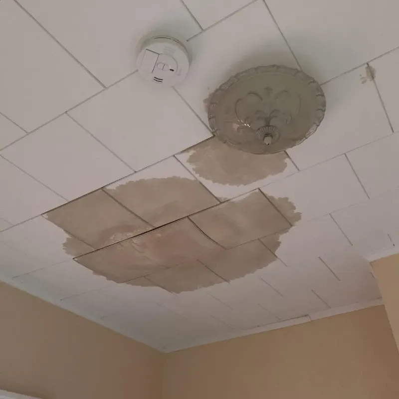 Ceiling Water Damage Repair in Hardin County, IL