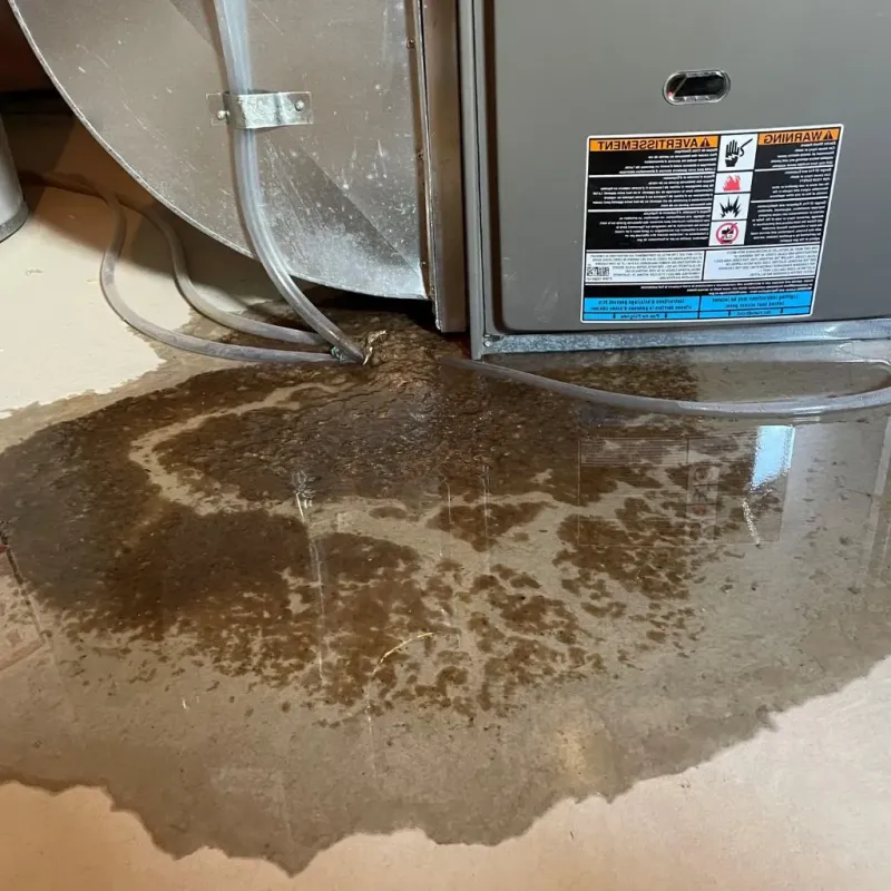 Pipe Burst and Leak Restoration in Hardin County, IL