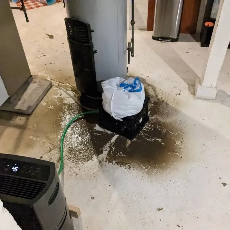 Sewage Backup Cleanup Service in Hardin County, IL